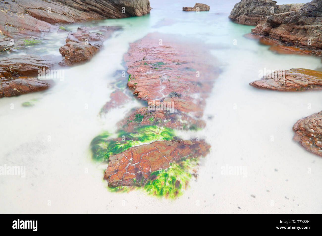 North Ronaldsay coastline, Orkney Stock Photo