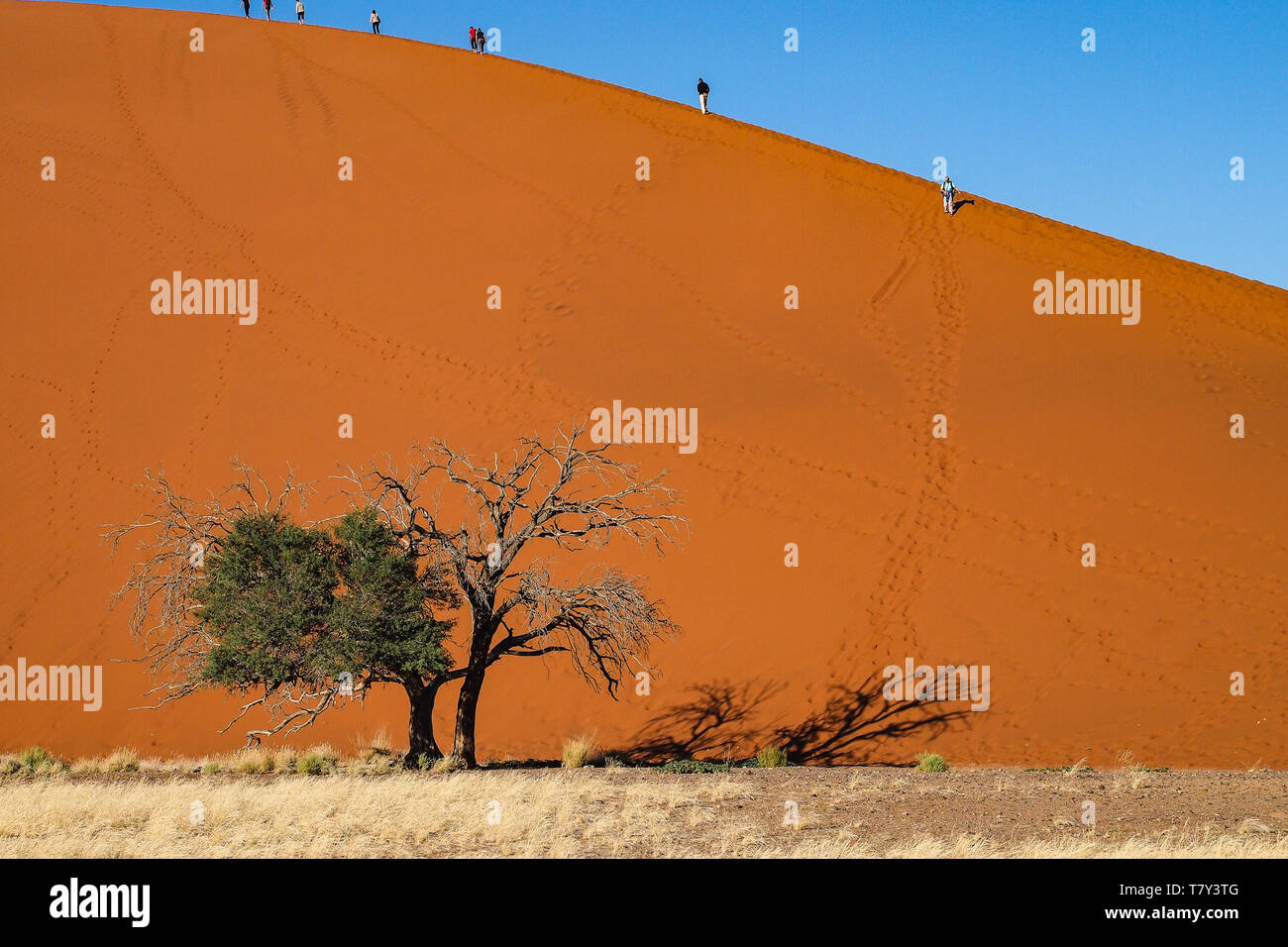 Amazing View of the dunes Sossusvlei. Namib Naukluft National Park ...