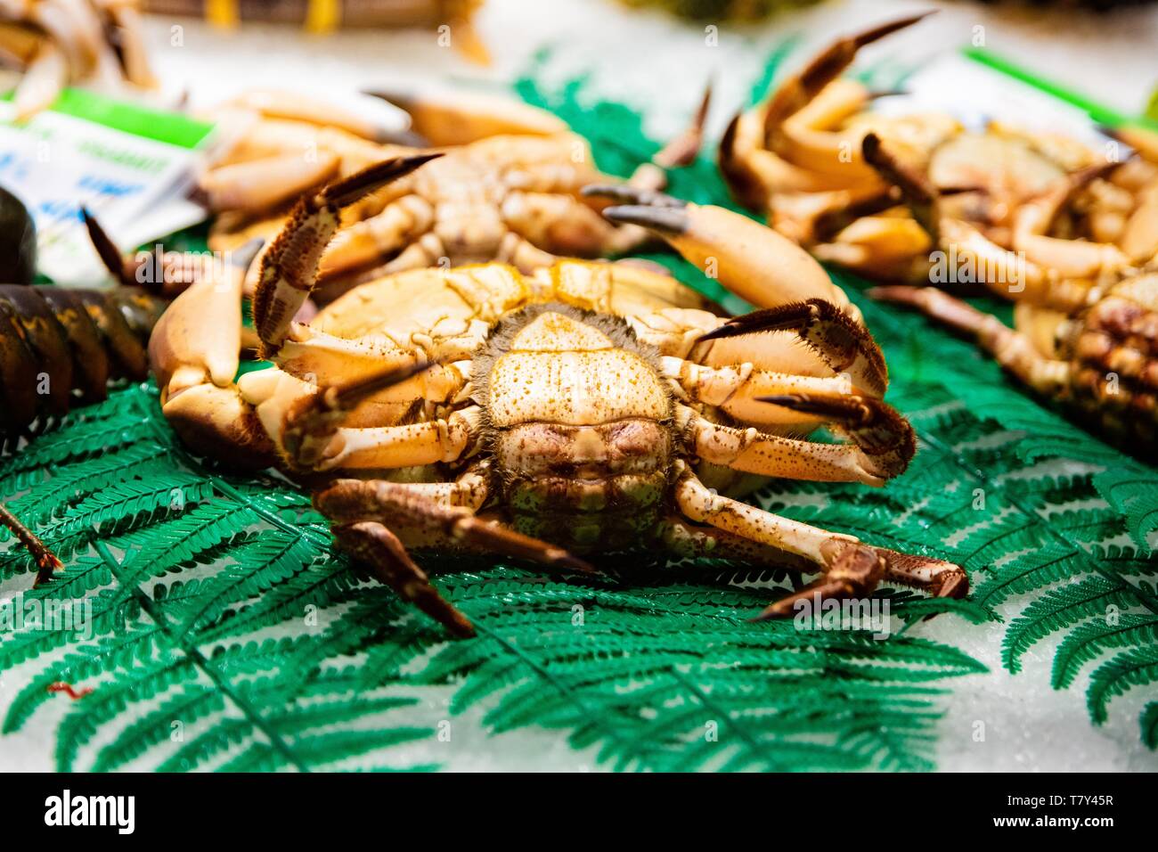 Fresh seafood crab on display in fish market Stock Photo Alamy