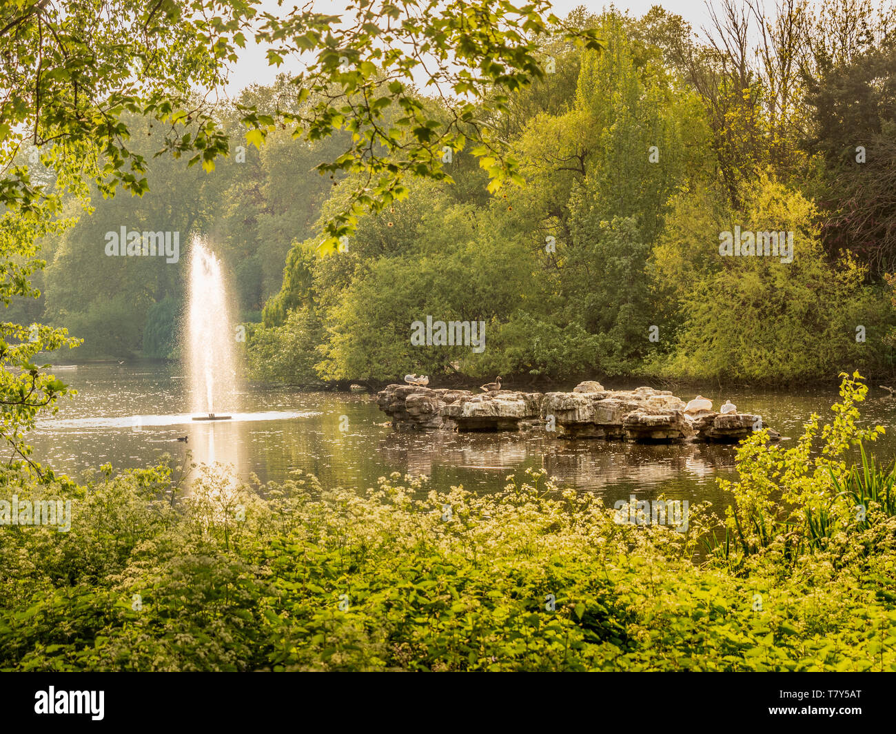 St James Park Lake, London, UK Stock Photo Alamy