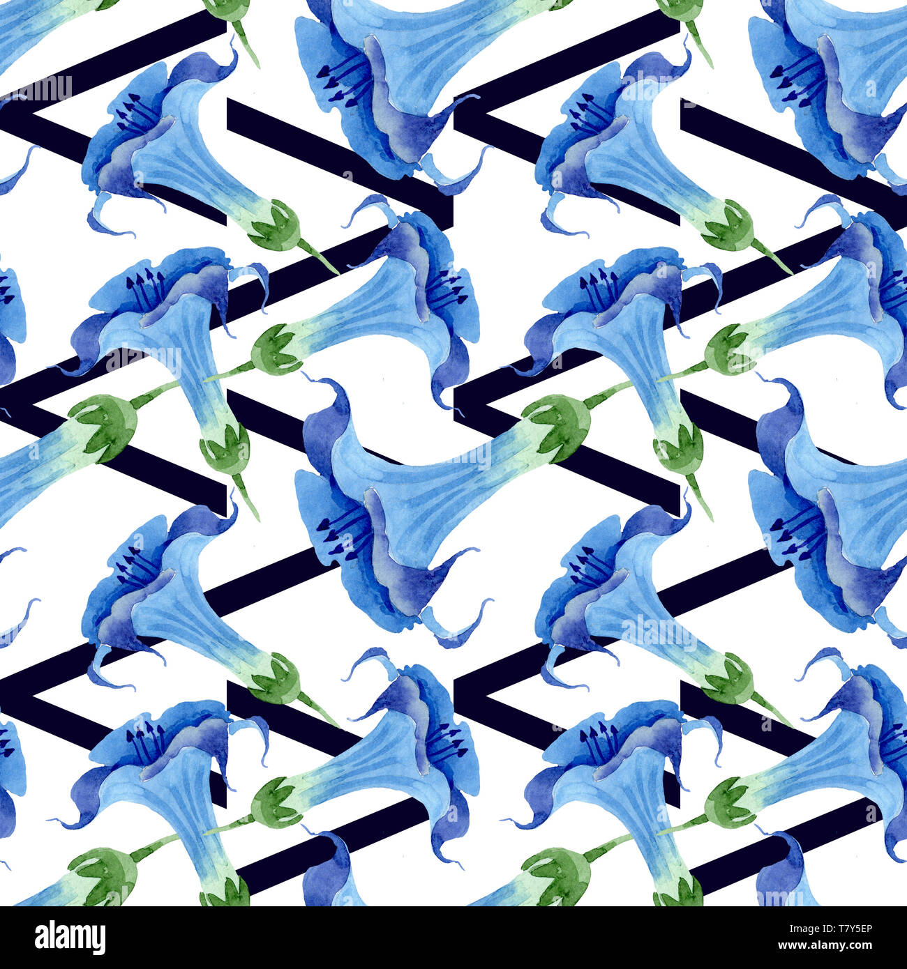 Blue brugmansia floral botanical flowers. Watercolor background