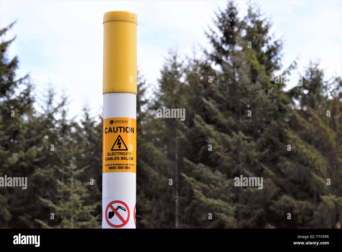 Warning pole for buried power cable in a forest of Sitka Spruce. Stock Photo