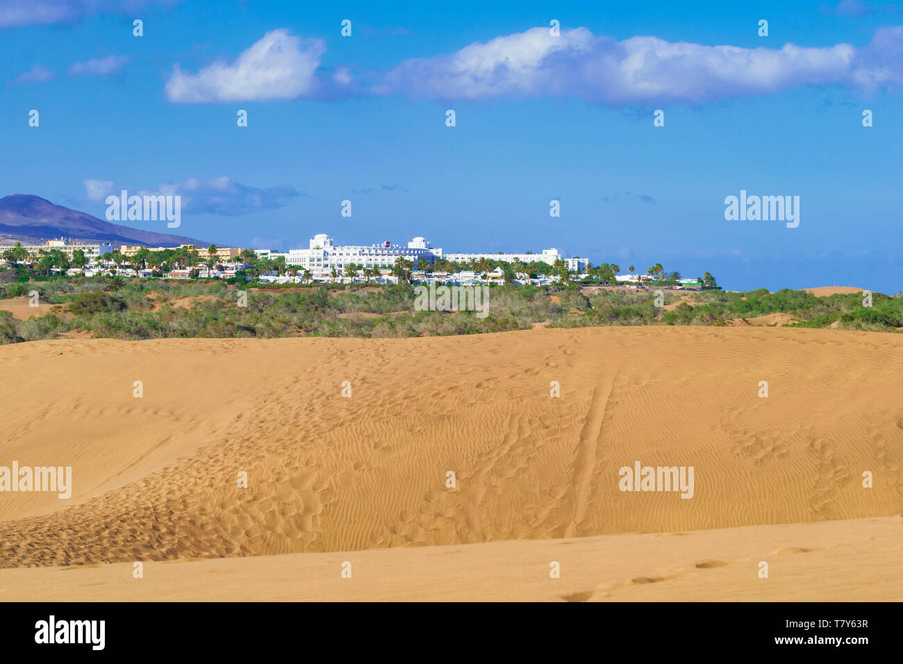 Landscape with wel known sand dunes from Maspalomas, Grand Canary, Canary Islands, Spain. Stock Photo
