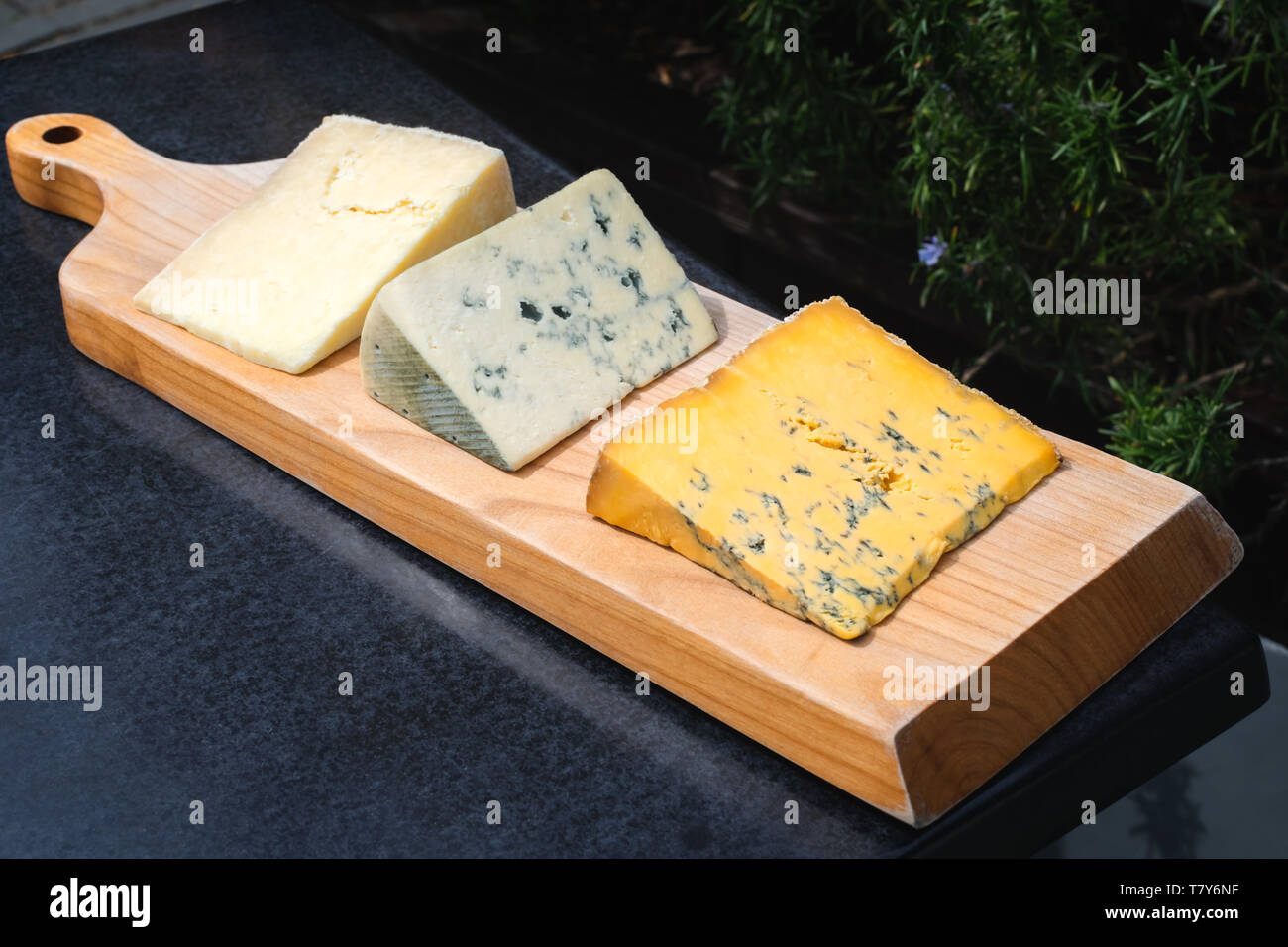 A selection of 3 larges pieces of cheese on a wooden platter board in a garden in the summer sun Stock Photo