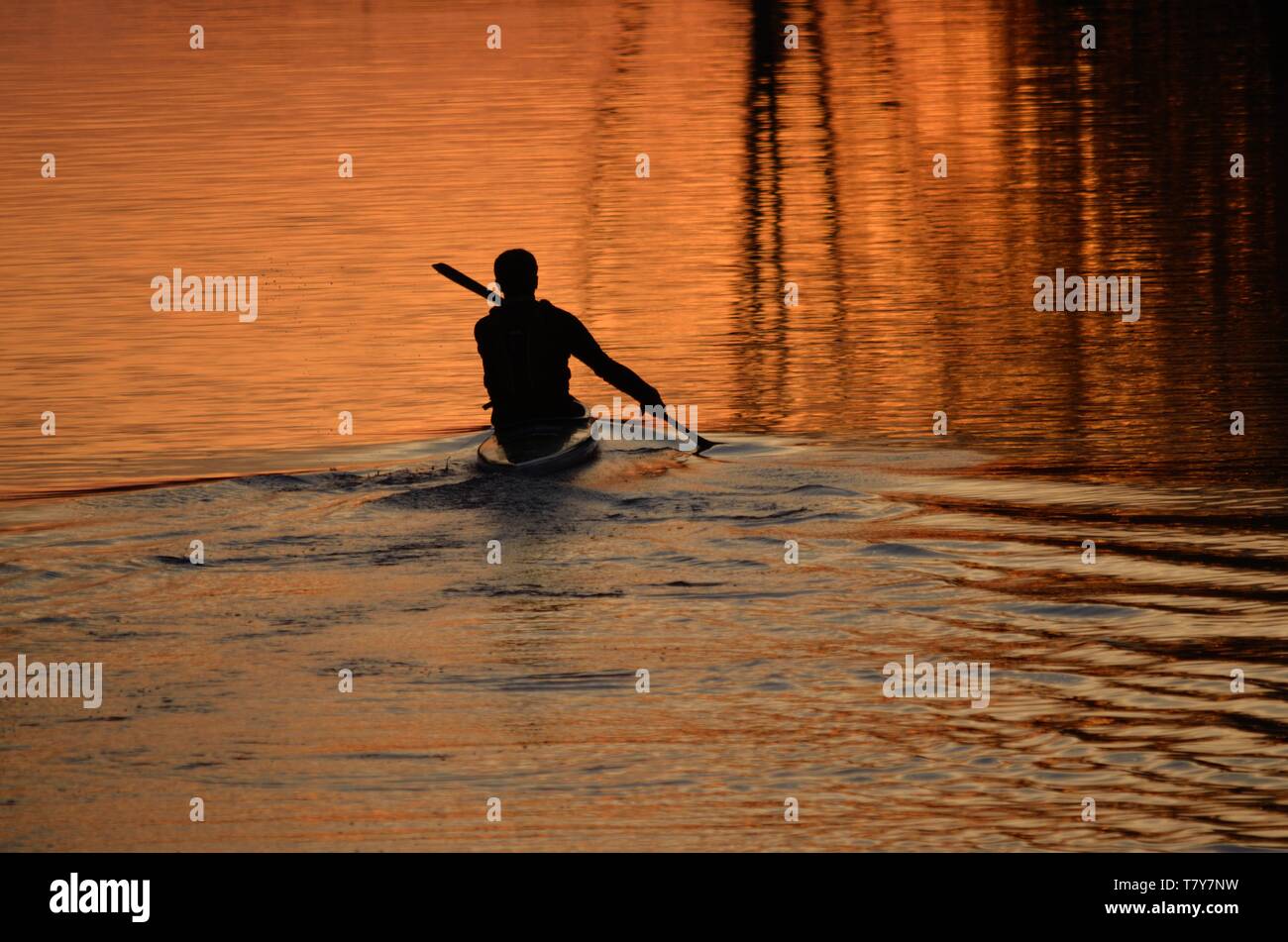Silhouette of a canoeist paddling into sunset reflection on River Avon Stock Photo