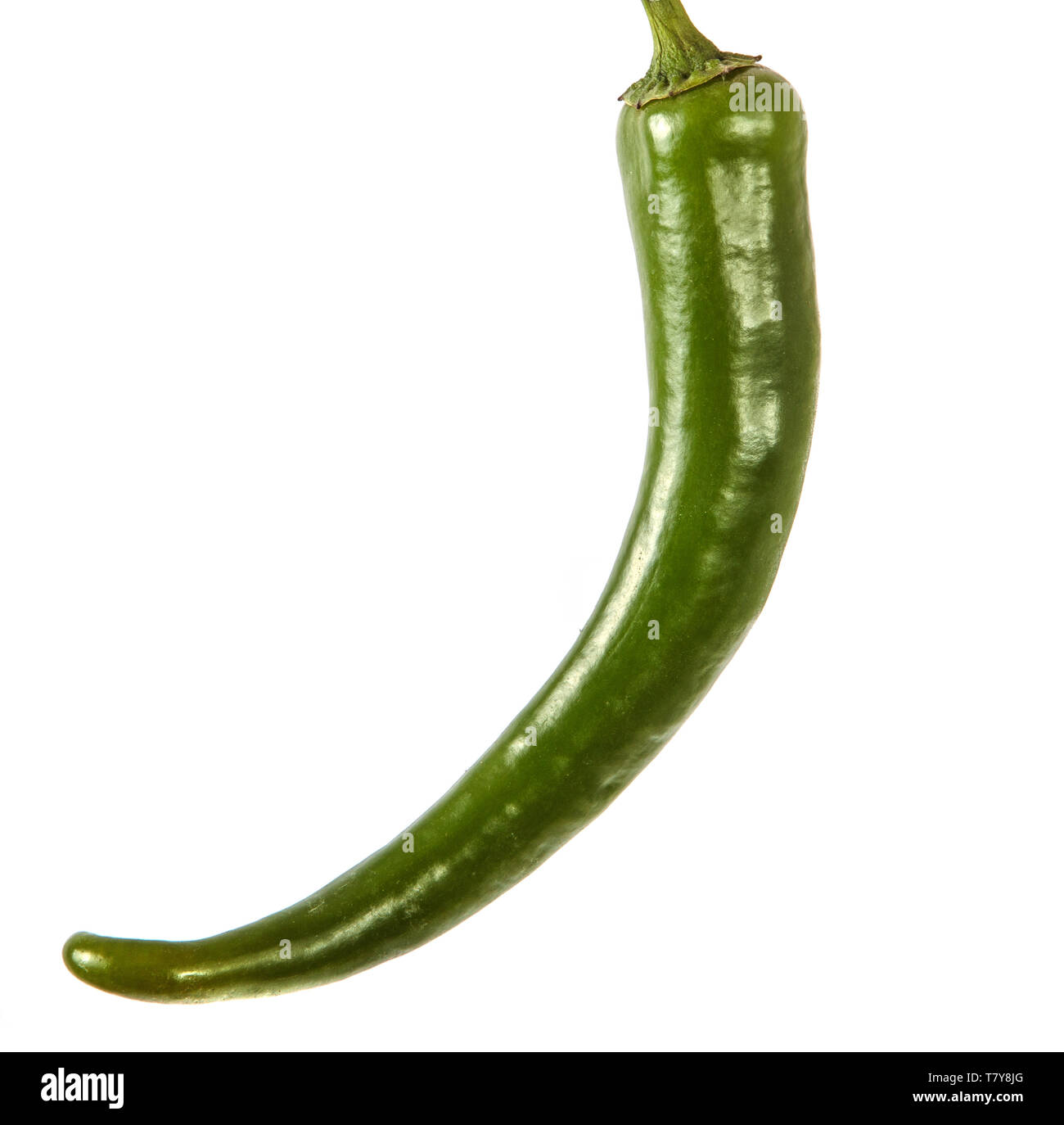 green chilli pepper. on a white Stock Photo Alamy