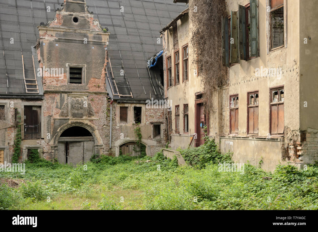 Ruine am Schlossberg, Halle, Sachsen-Anhalt, Deutschland Stock Photo