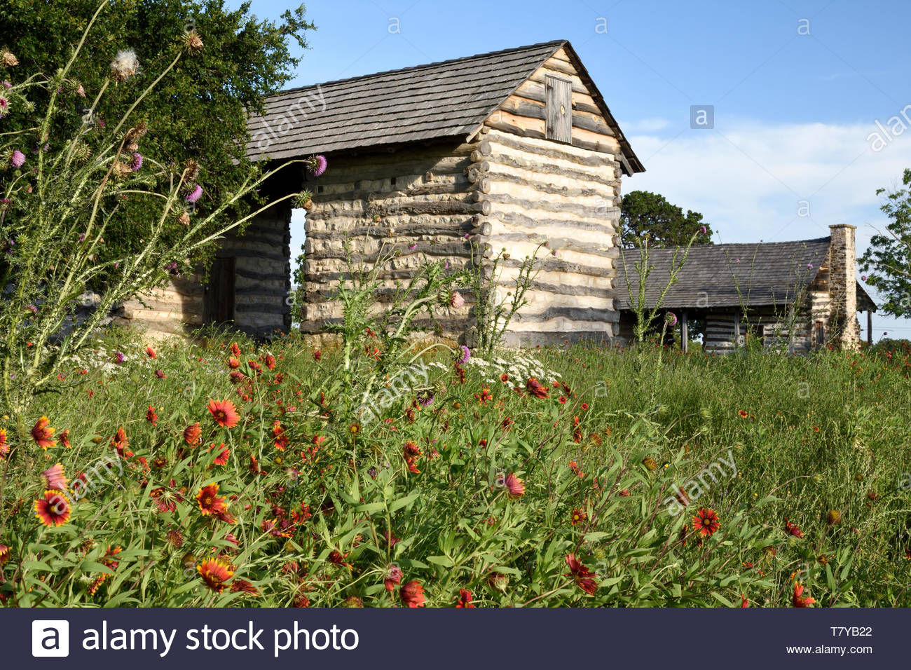 Log Cabin Log Cabin In Texas With Texas Wildflowers Cabin B Log