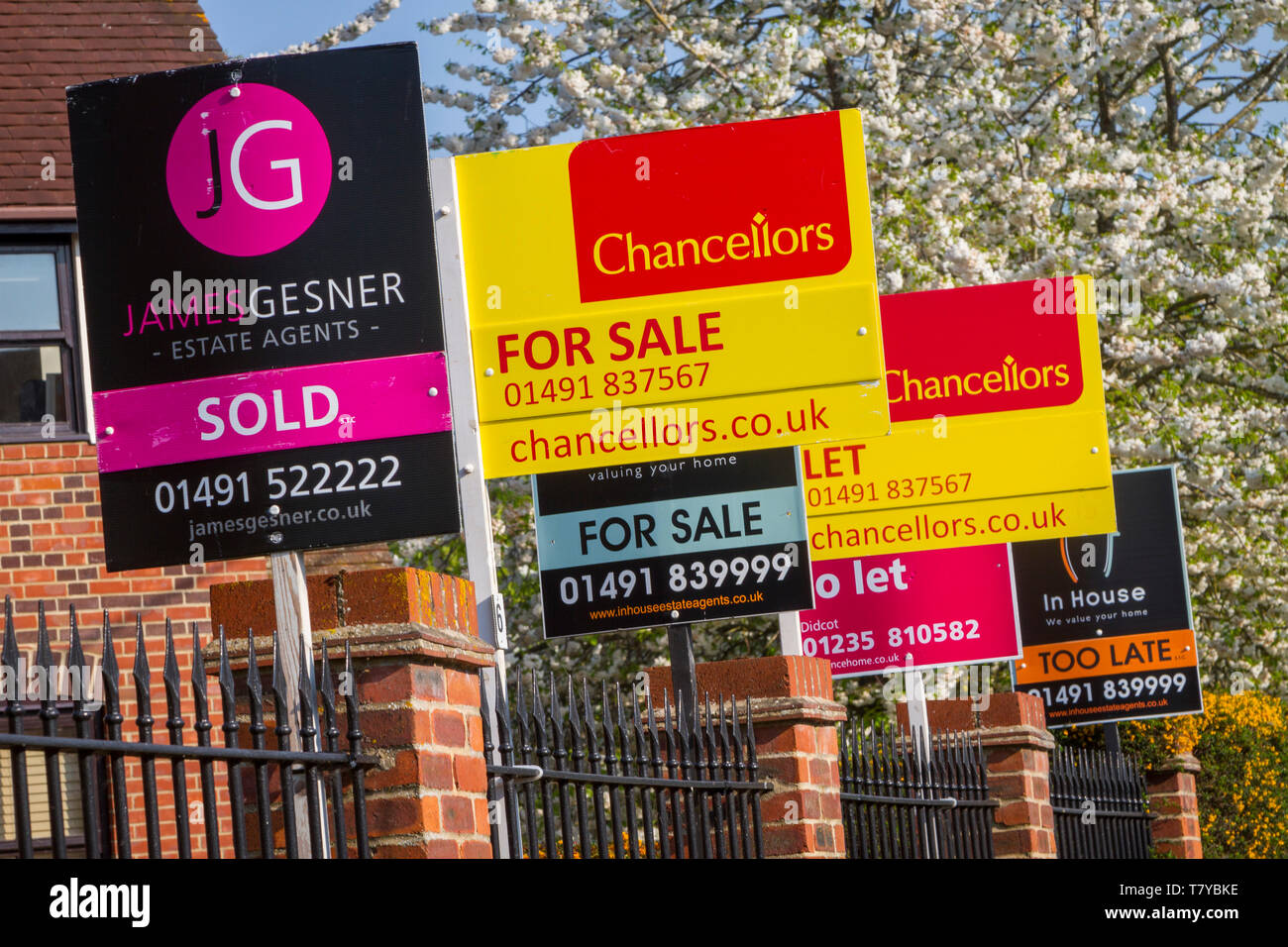 A group of colourful estate agents' signs with Spring blossom behind, For Sale, To Let, Sold, Too Late. Stock Photo