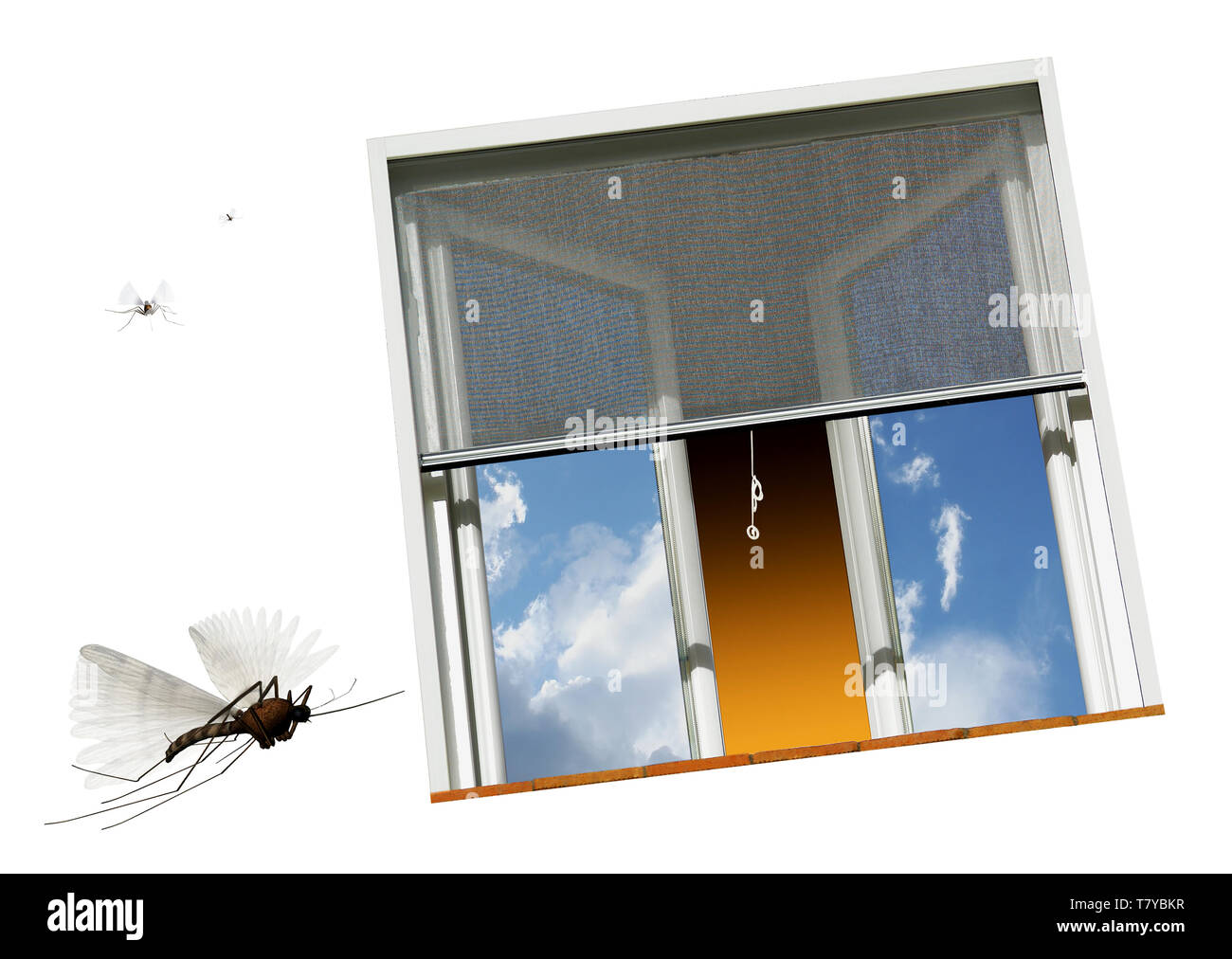 Window equipped for protection against mosquitoes. White background. Stock Photo