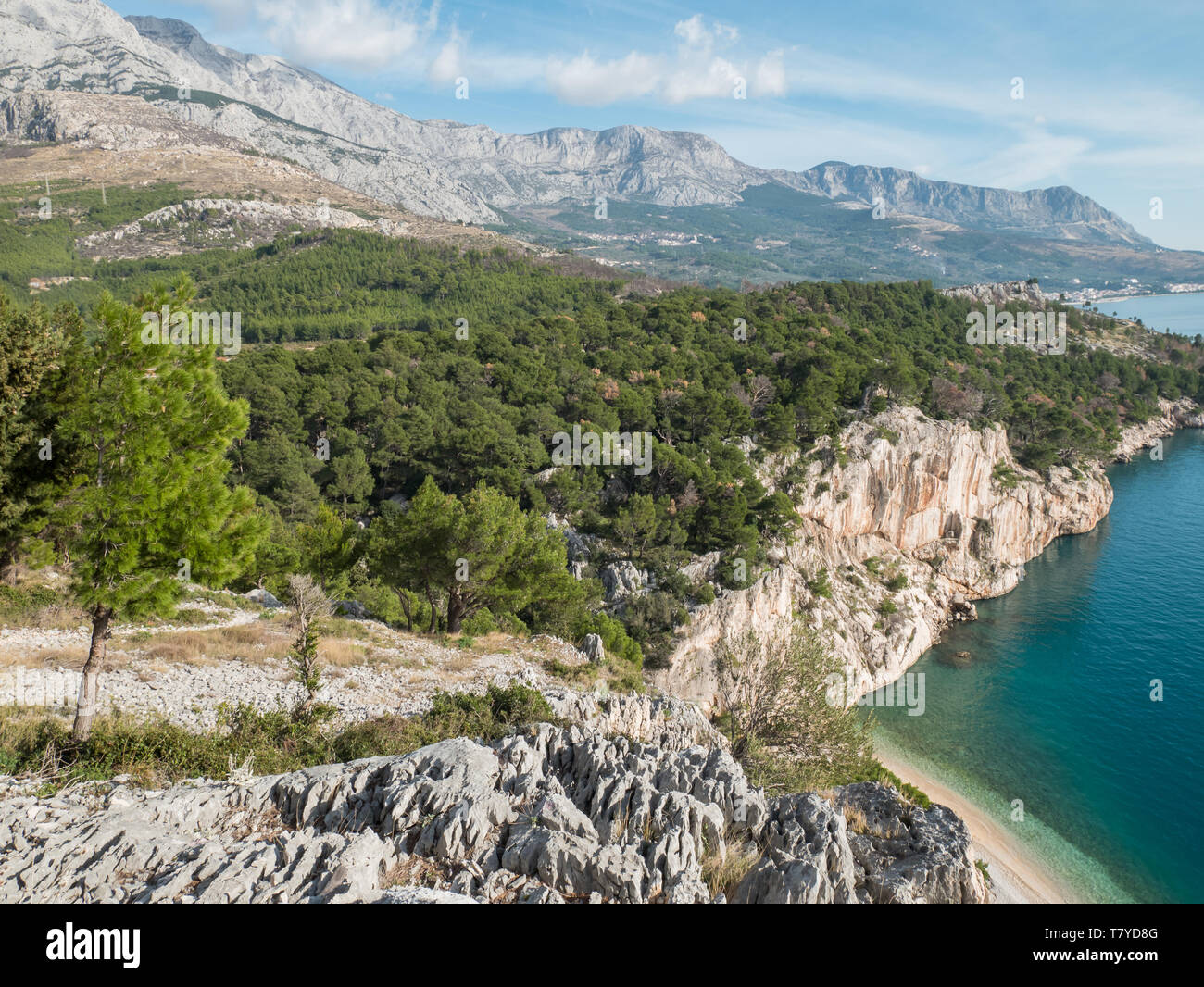 Pine tree forest and mountain Biokovo over small beach and calm blue sea in Croatia Stock Photo