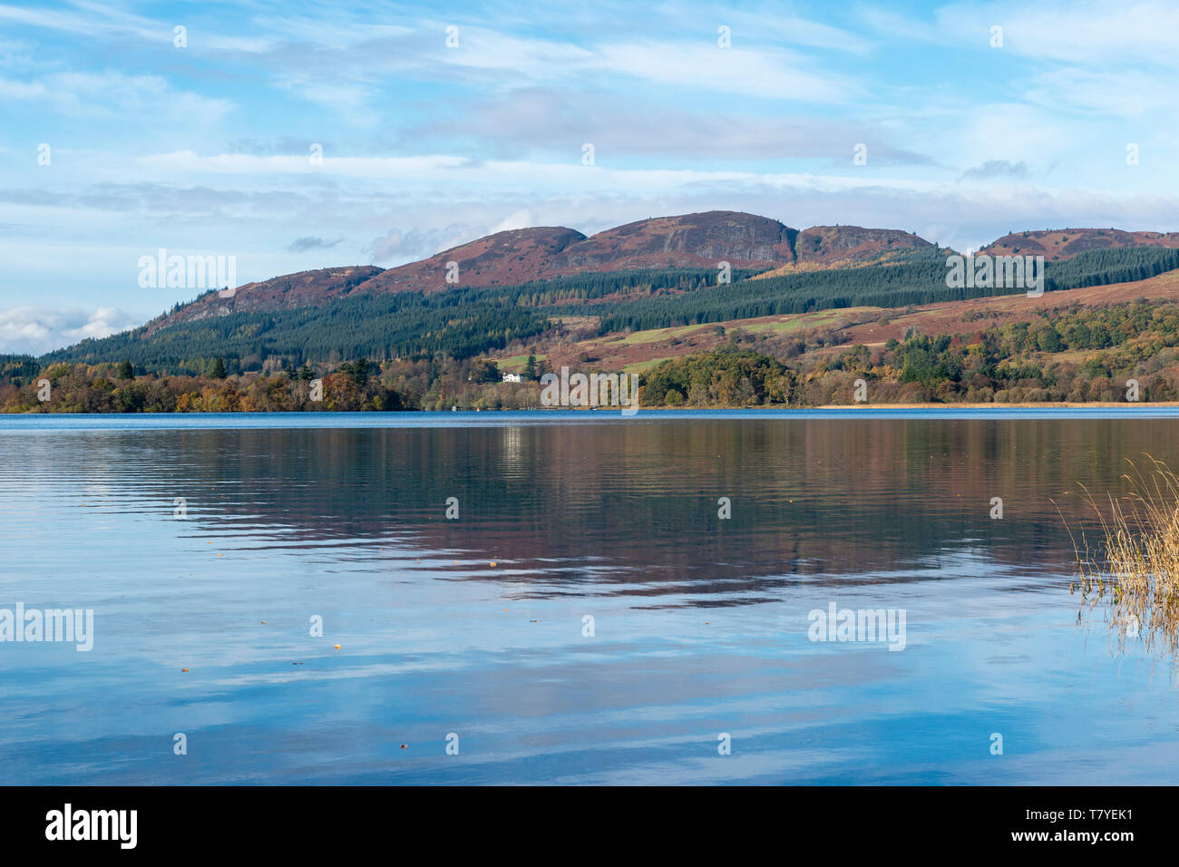 Autumn reflections on Lake of Menteith in the Trossachs, Scotland, UK Stock Photo
