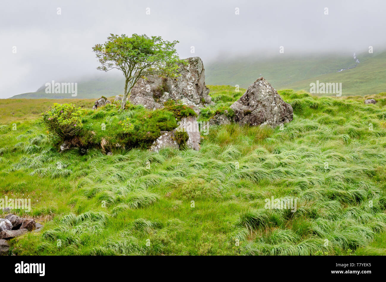 A misty and wet landscape scene from the heart of the scenically breath-taking Delphi Valley, near Leenane, Connemara, Co. Galway, Ireland. Stock Photo