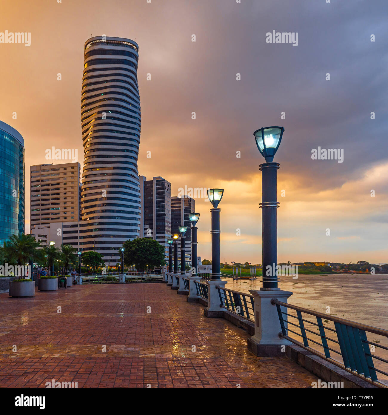 Square cityscape of Guayaquil city at sunset with the Malecon 2000 waterfront, the Guayas river and the point skyscraper after a thunderstorm, Ecuador. Stock Photo