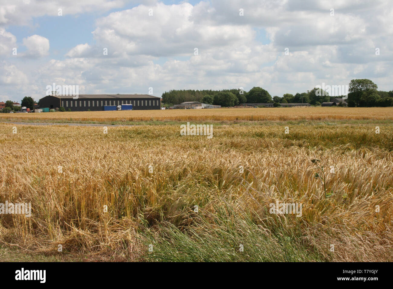 RAF Dalton, ww2 airfield, airfield T2 hangar Stock Photo Alamy