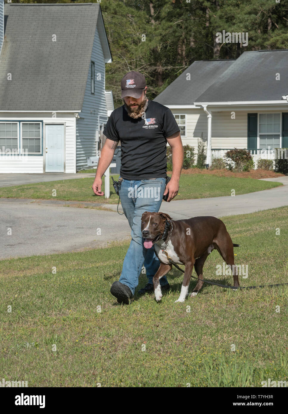 Canine Revolution dog trainer working with a dog. Summerville, South