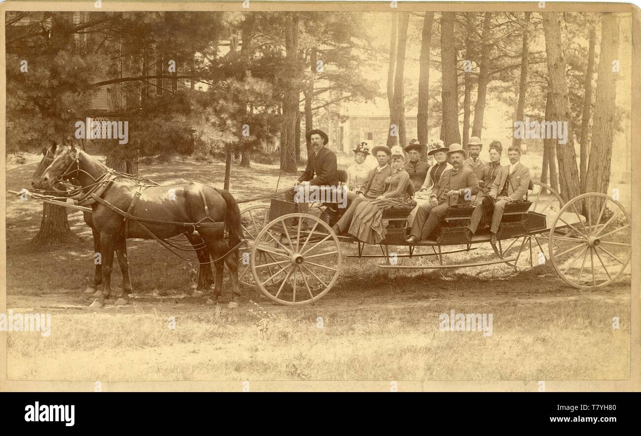 Outing in a carriage, MassachusettS, ca. 1880.  Ptgr:  Whittemore, Cottage Grove Park, MA.  MP AP Stock Photo