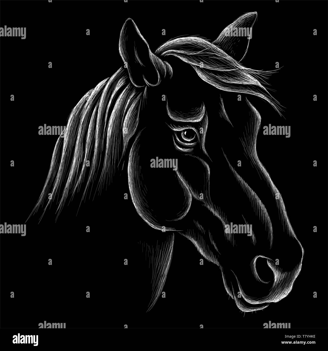 Sewing & Fiber Craft Supplies & Tools Horses Shirt Design Ready to