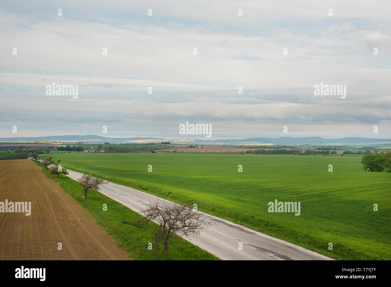 Local asphalt road in the field. Spring time Stock Photo - Alamy