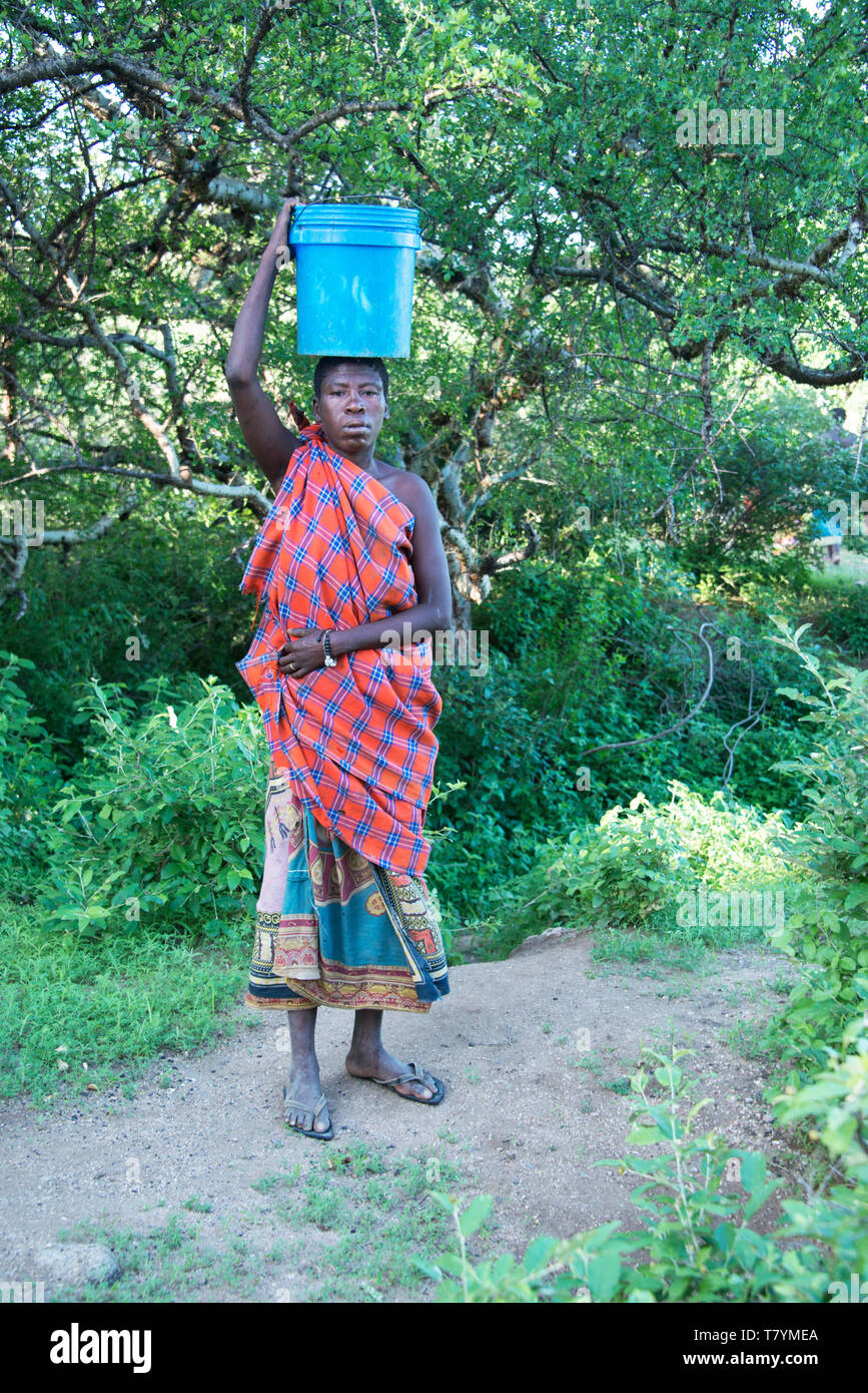 Hadzabe woman carrying a heavy jerry can bucket full of drinking water collected from the river to her village in Tanzania, Africa, Jan 30, 2019 Stock Photo