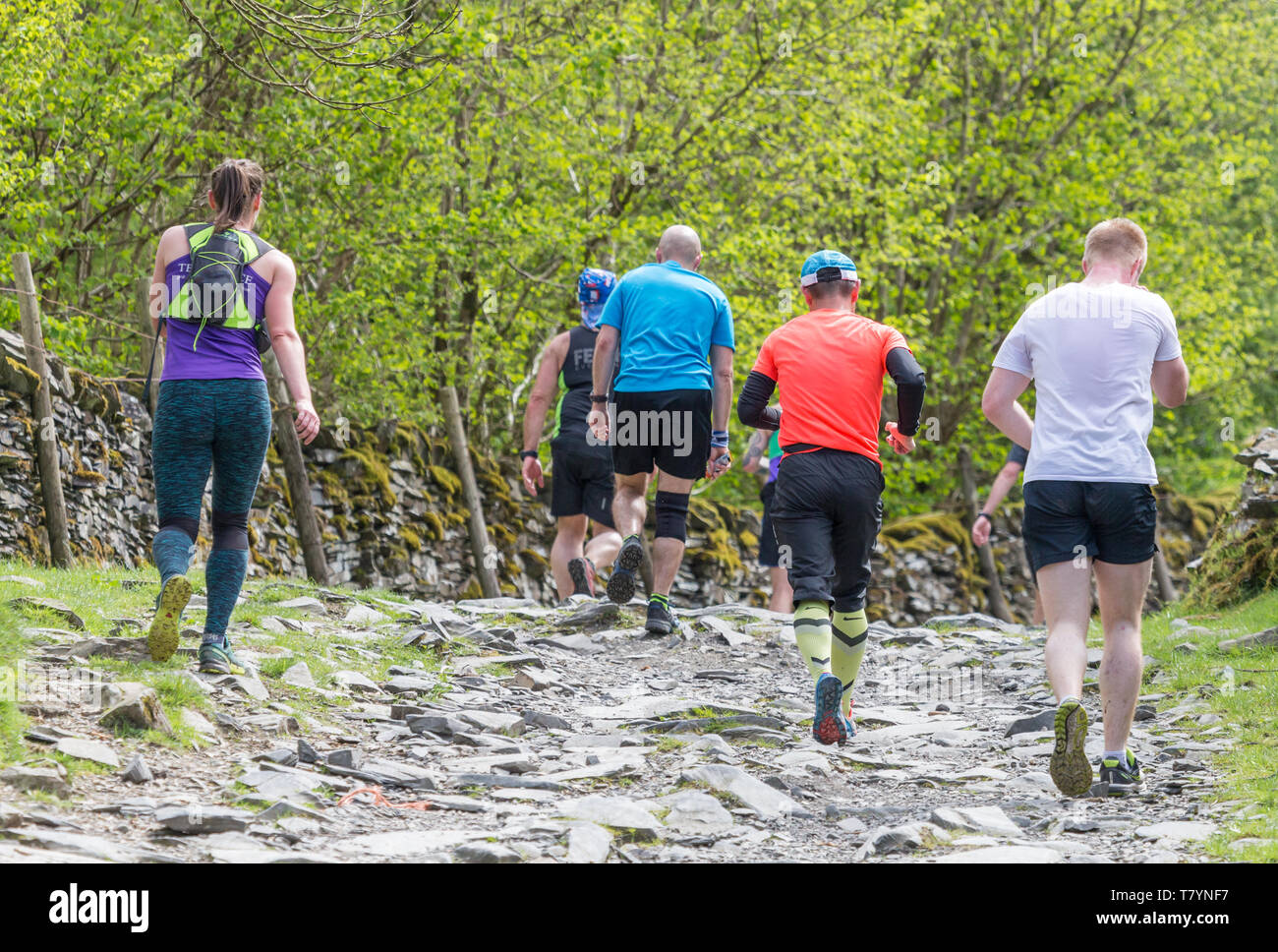 Fell Runners competing in the 2019 Staveley Lakeland Fell Race near ...