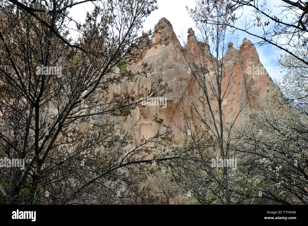 Unusual rock formations in Cappadocia, Turkey Stock Photo