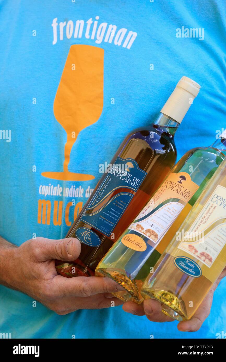 Domaine De La Plaine Muscat De Frontignan France, Herault, Vic La Gardiole, Domaine de la Plaine, AOC Muscat de  Frontignan Stock Photo - Alamy