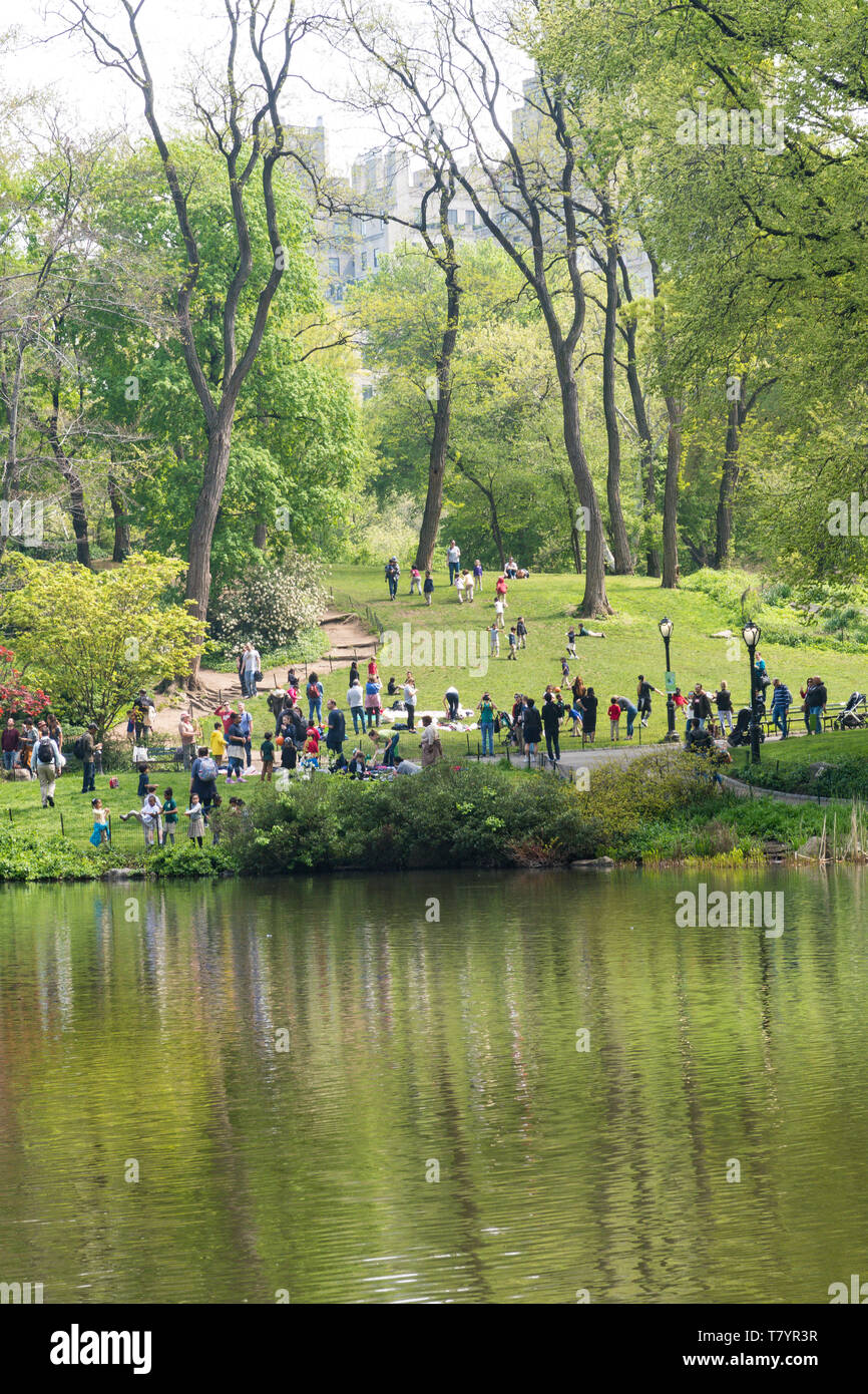The pond in Central Park is Beautiful in Spring, NYC, USA Stock Photo