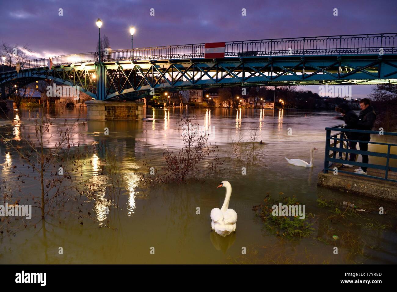 France, Val de Marne, Bry sur Marne, the footbridge made by Gustave Eiffel between Bry sur Marne and Le Perreux sur Marne in the background, the banks of the Marne flooded Stock Photo
