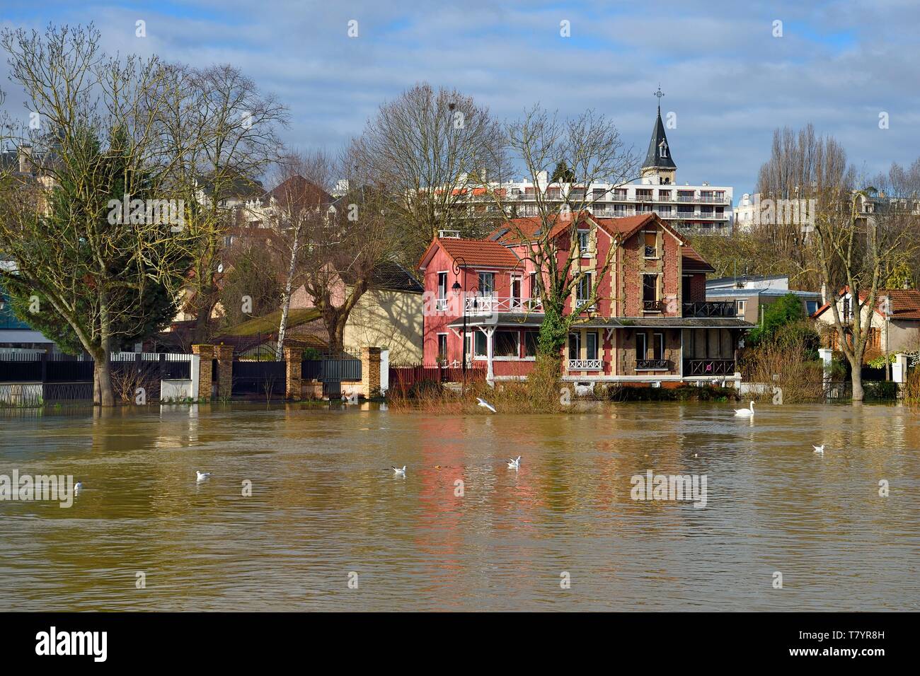 France, Val de Marne, Le Perreux sur Marne, the Marne riverside flooded Stock Photo