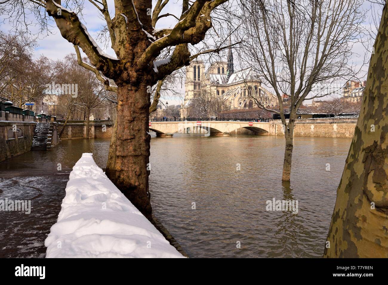 France, Paris, area listed as World Heritage by UNESCO, the banks of the Seine, classified World Heritage by UNESCO, the Seine in flood quai de la Tournelle and the Notre Dame Cathedral under the snow on the Ile de la Cité Stock Photo
