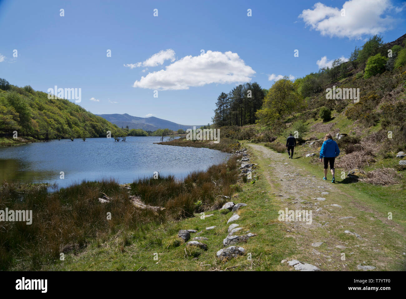 Trekkers on the Precipice Walk trail and surrounding area in Snowdonia National Park,Wales,UK Stock Photo