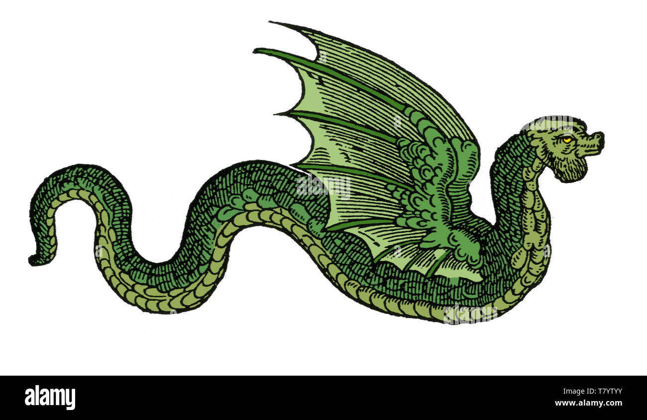 Winged Serpent, Legendary Creature Stock Photo