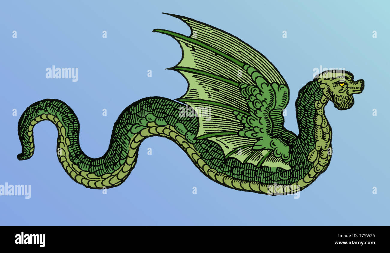 Winged Serpent, Legendary Creature Stock Photo