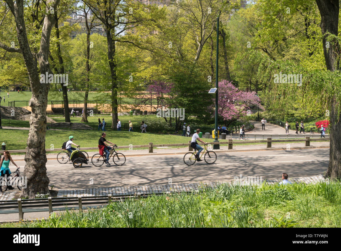 Central Park in New York City is popular in springtime, USA Stock Photo