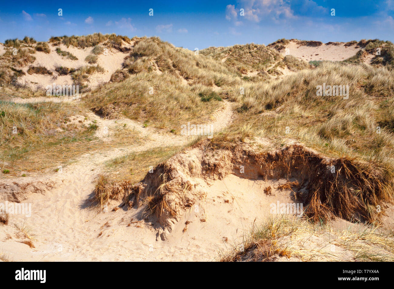 Ainsdale beach hires stock photography and images Alamy