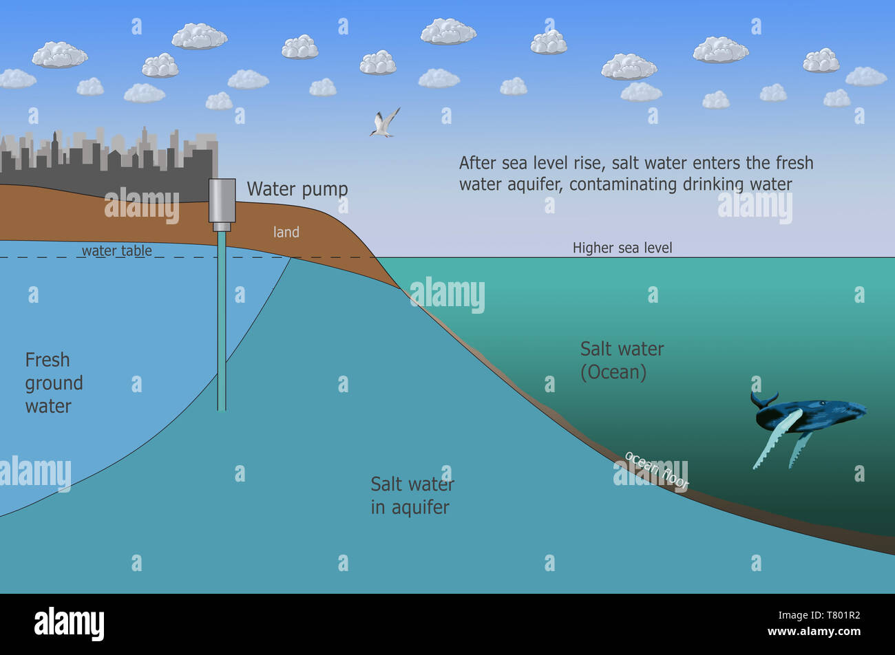 Page 2 Flooding Illustration High Resolution Stock Photography And Images Alamy