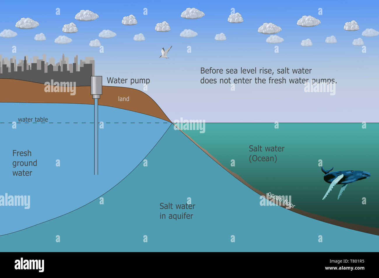 Change, Intrusion, ... Illustration Stock Water Salt Climate ... Climate Stock Change, Illustration Water Intrusion, Salt