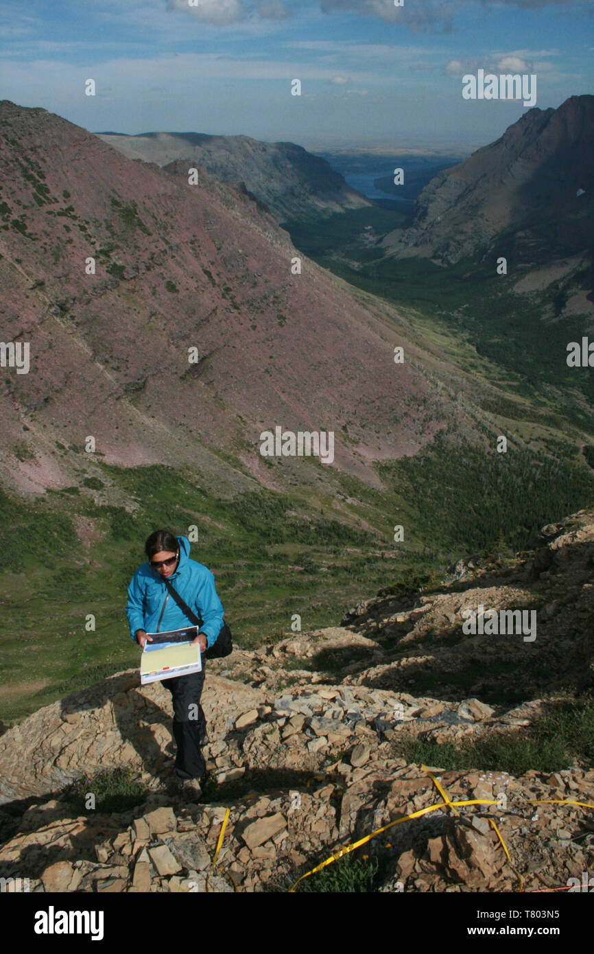 Field Study, Glacier NP Stock Photo
