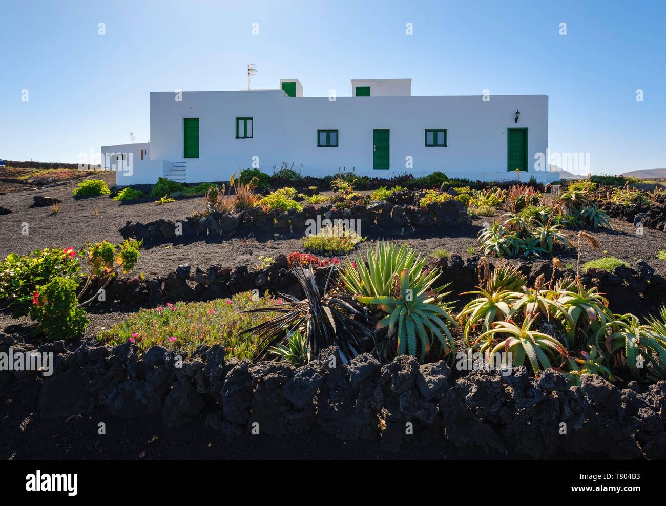 House with garden on lava gravel, La Santa near Tinajo, Lanzarote, Canary Islands, Spain Stock Photo
