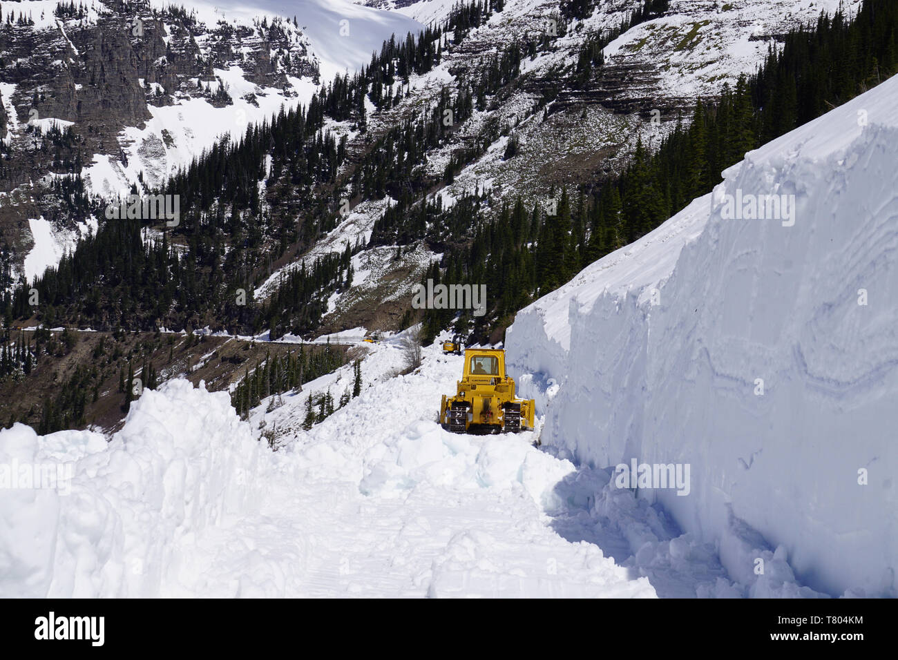 Snowplow, Glacier NP Stock Photo