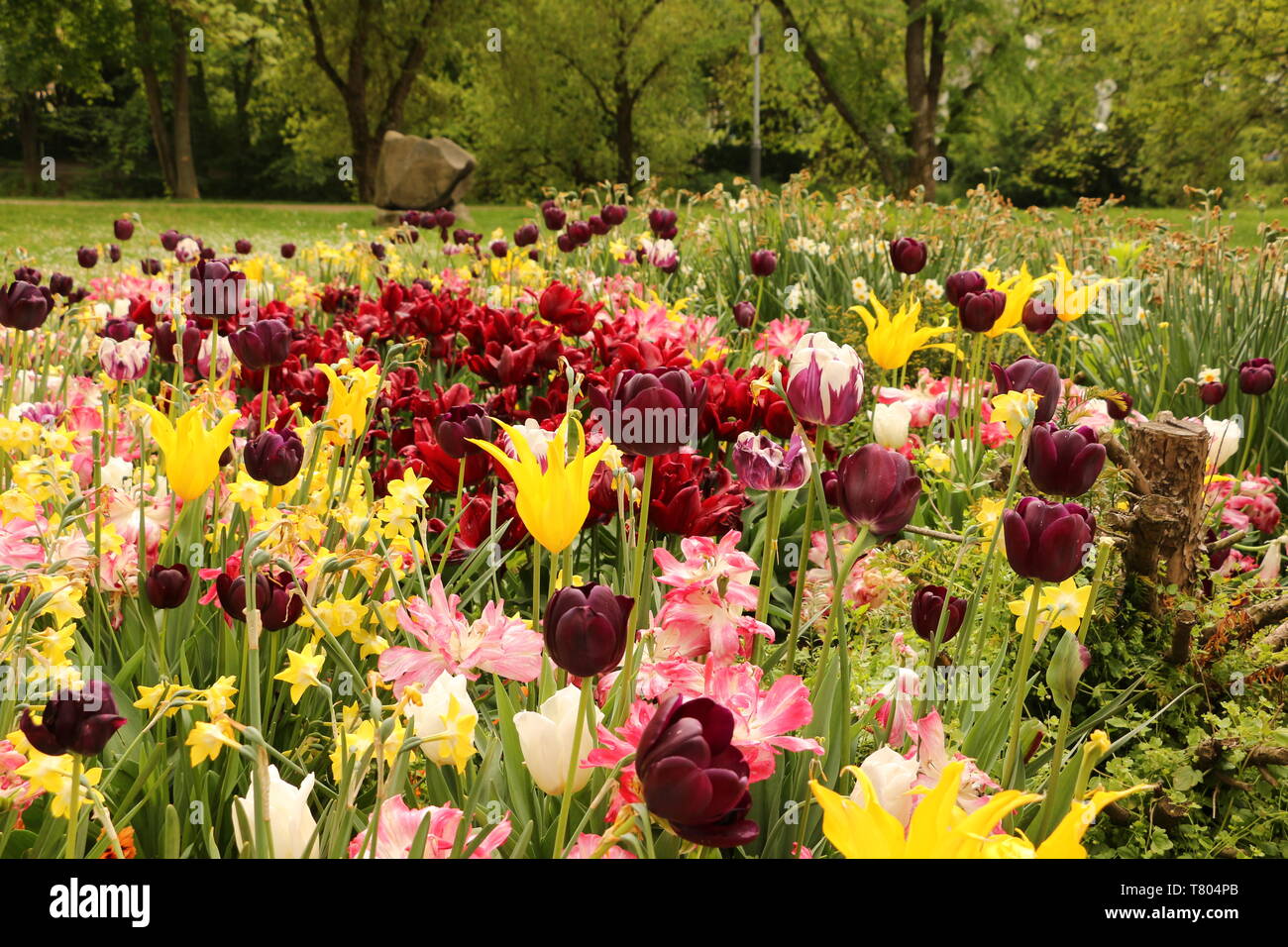 Blumen Bad Vilbel