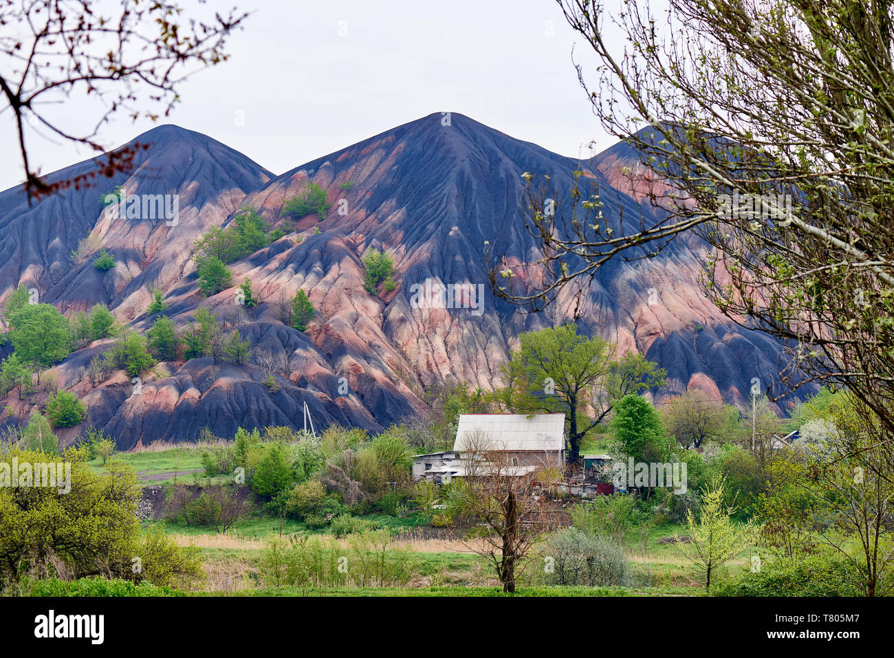 Slag Tree The large slag heap and small village among flowering spring trees ...