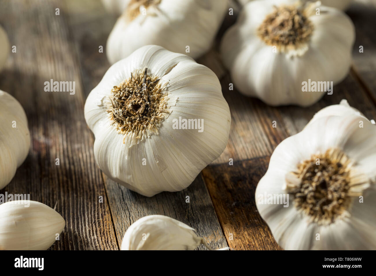 Garlic clove cloves bulb bulbs hires stock photography and images Alamy