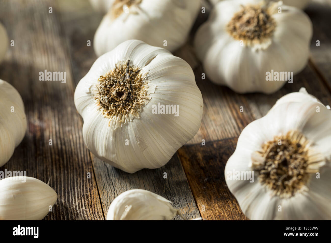 Raw Organic Garlic Bulbs Ready to Cook With Stock Photo