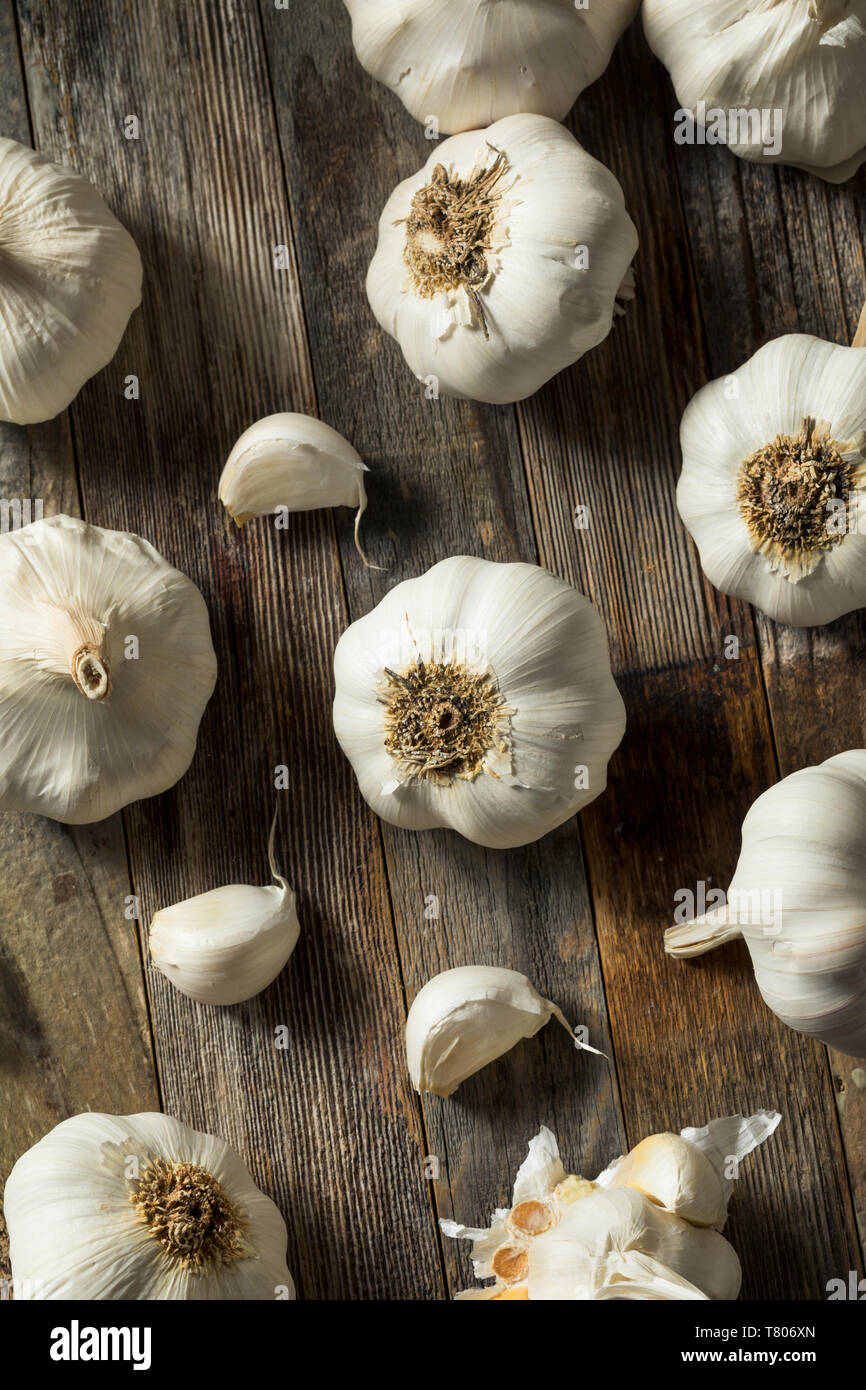 Garlic clove cloves bulb bulbs hires stock photography and images Alamy