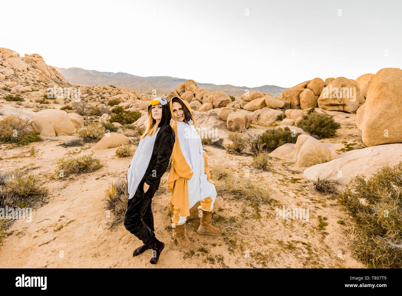 Two friends in spirit animal onesies celebrating the new year in Joshua Tree, California, United States of America, North America Stock Photo