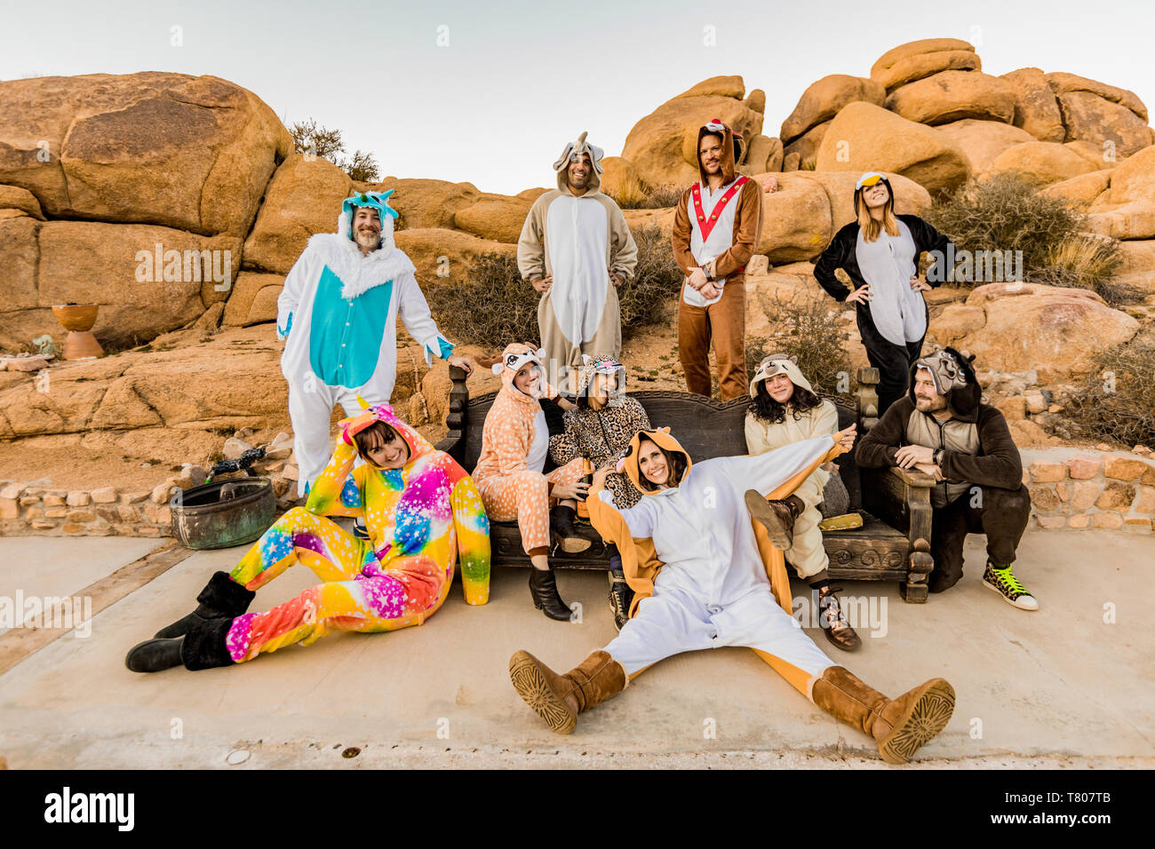 Group of friends in spirit animal onesies celebrating the new year in Joshua Tree, California, United States of America, North America Stock Photo