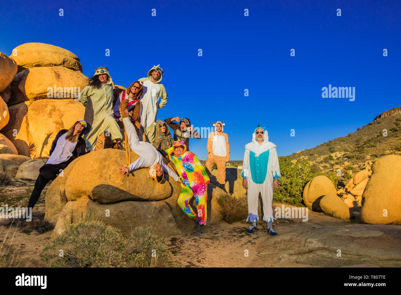 Group of friends in spirit animal onesies celebrating the new year in Joshua Tree, California, United States of America, North America Stock Photo