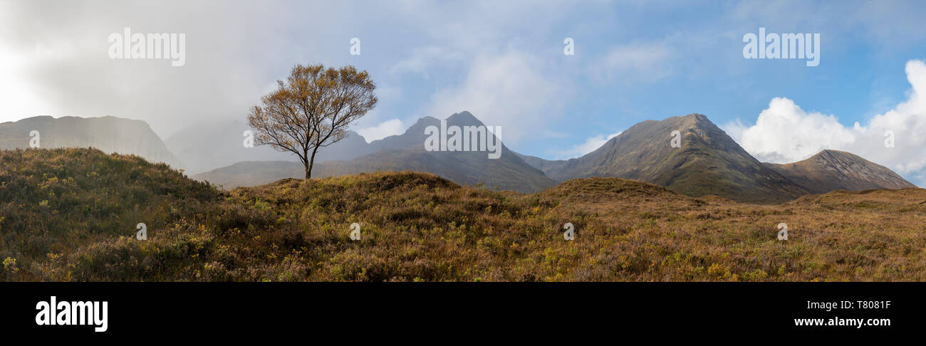 A lone tree and the Cuillins on The Isle of Skye, Inner Hebrides, Scottish Highlands, Scotland, United Kingdom, Europe Stock Photo